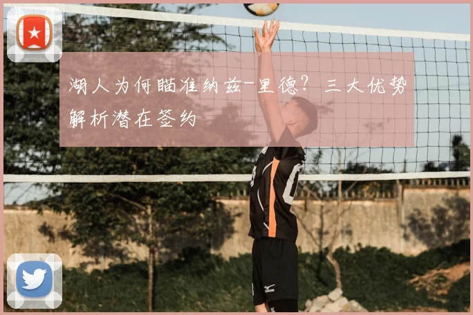 湖人为何瞄准纳兹-里德？三大优势解析潜在签约